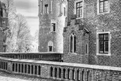 IMG_9991