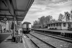 IMG_0944