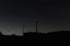IMG_8244