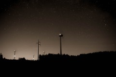 IMG_8245