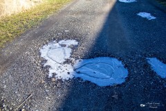LR-IMG_3838