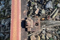 LR-IMG_9308