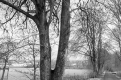 IMG_2245