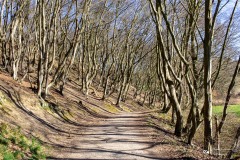 LR-IMG_8385