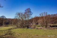 LR-IMG_8399