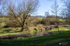 LR-IMG_8433