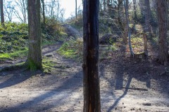 LR-IMG_8436