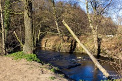 LR-IMG_8466