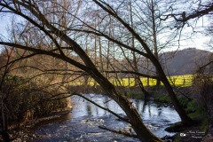 LR-IMG_8474